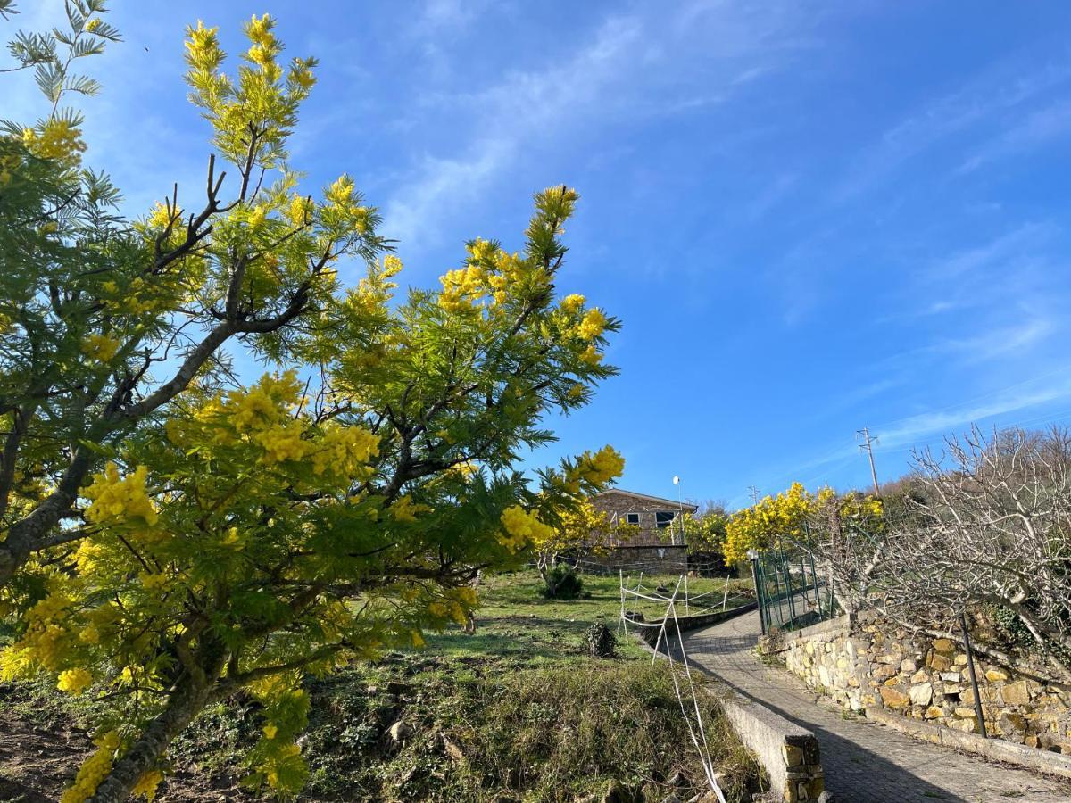 Agriturismo Le Mimose Imperia Eksteriør billede