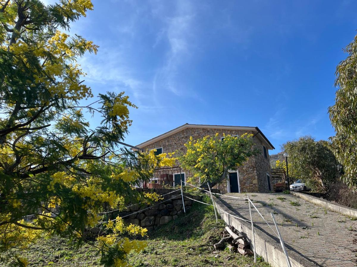 Agriturismo Le Mimose Imperia Eksteriør billede